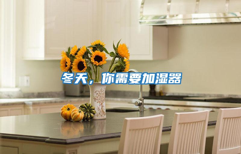冬天，你需要加濕器