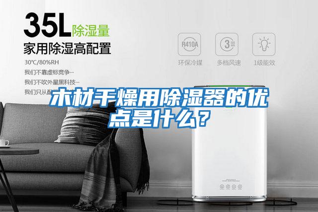 木材干燥用除濕器的優點是什么?