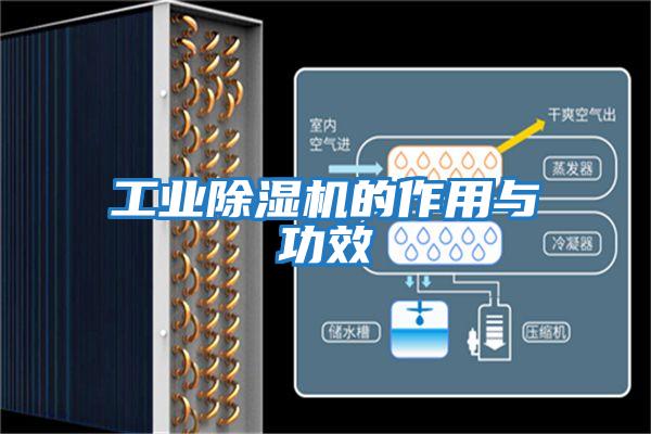 工業除濕機的作用與功效