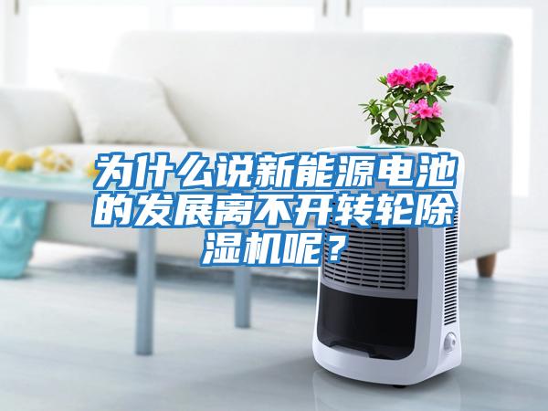 為什么說新能源電池的發(fā)展離不開轉(zhuǎn)輪除濕機呢?