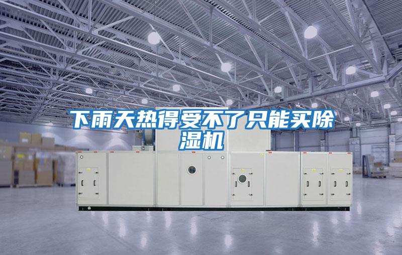 下雨天熱得受不了只能買(mǎi)除濕機(jī)