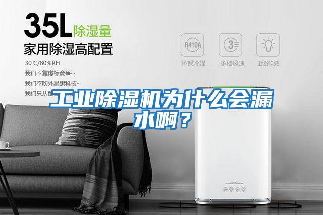 工業(yè)除濕機為什么會漏水啊？