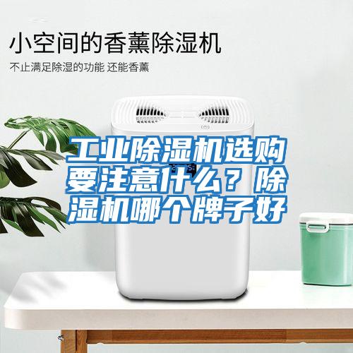 工業(yè)除濕機選購要注意什么？除濕機哪個牌子好