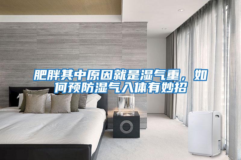 肥胖其中原因就是濕氣重，如何預防濕氣入體有妙招