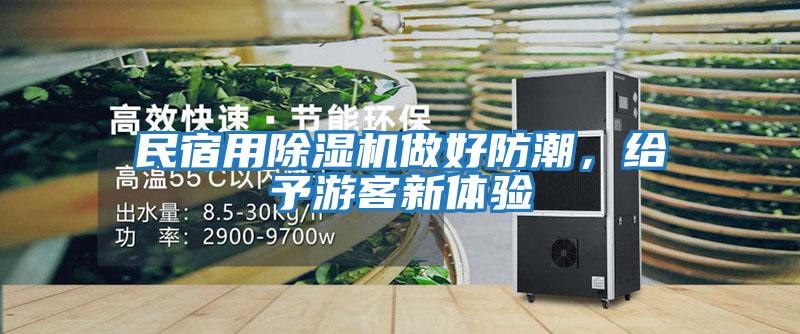 民宿用除濕機做好防潮，給予游客新體驗
