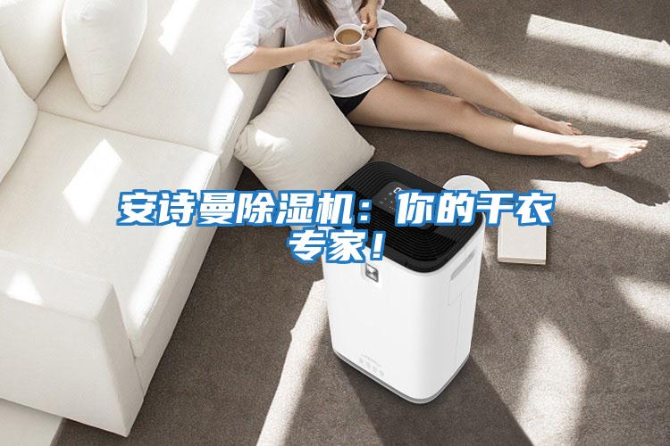 安詩(shī)曼除濕機(jī):你的干衣專(zhuān)家!