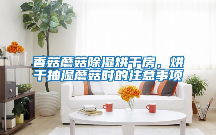 香菇蘑菇除濕烘干房,烘干抽濕蘑菇時的注意事項