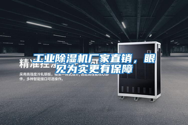 工業(yè)除濕機(jī)廠家直銷,眼見(jiàn)為實(shí)更有保障