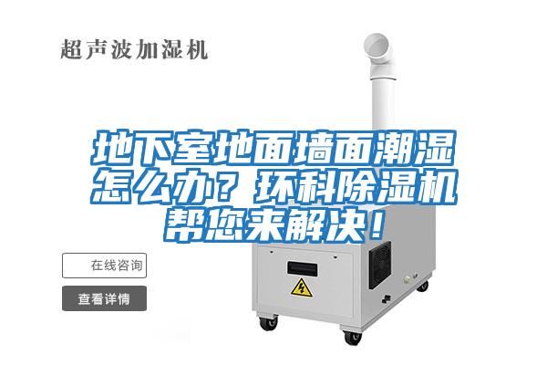 地下室地面墻面潮濕怎么辦?環(huán)科除濕機(jī)幫您來解決!