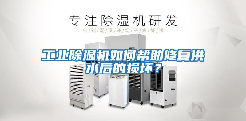 工業除濕機如何幫助修復洪水后的損壞？