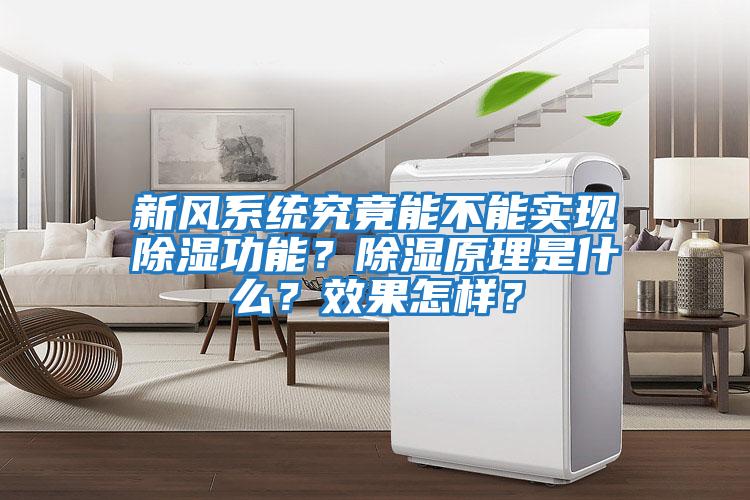 新風系統究竟能不能實現除濕功能？除濕原理是什么？效果怎樣？