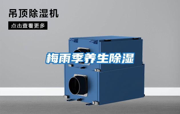 梅雨季養生除濕