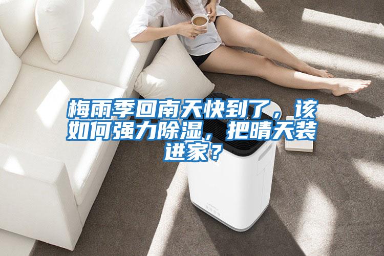 梅雨季回南天快到了，該如何強力除濕，把晴天裝進家？