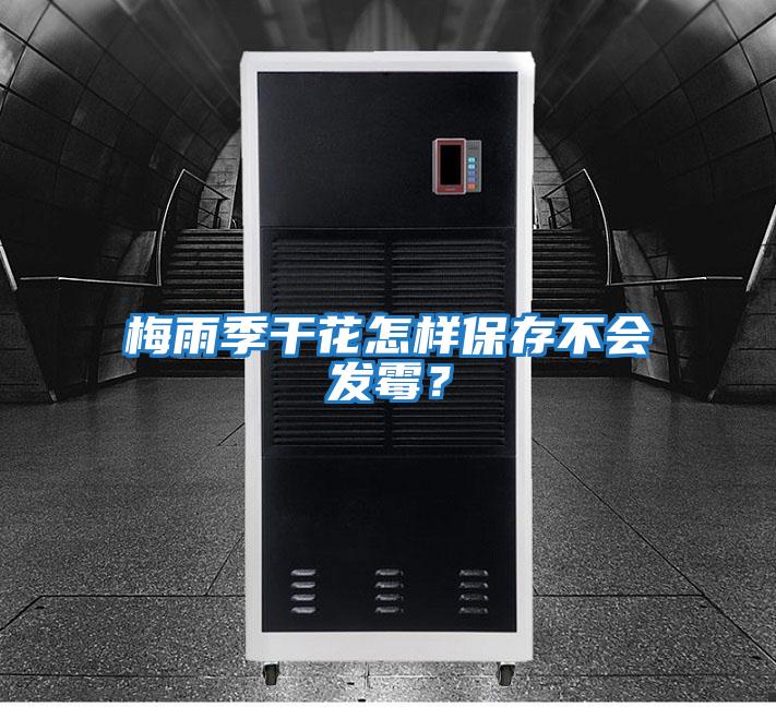 梅雨季干花怎樣保存不會(huì)發(fā)霉？