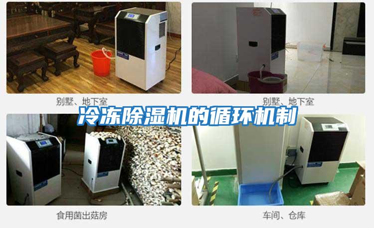 冷凍除濕機的循環機制