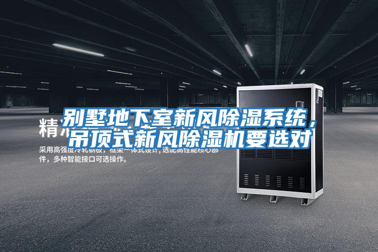 別墅地下室新風除濕系統,吊頂式新風除濕機要選對