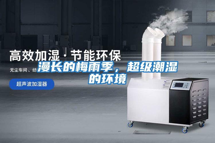 漫長的梅雨季,超級潮濕的環境