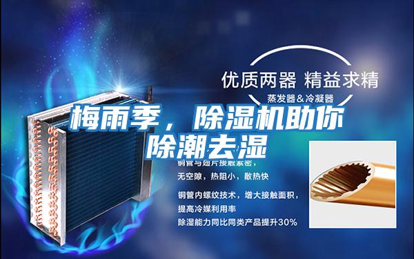 梅雨季，除濕機(jī)助你除潮去濕