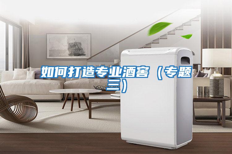 如何打造專業(yè)酒窖(專題三)