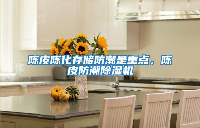 陳皮陳化存儲防潮是重點(diǎn)，陳皮防潮除濕機(jī)