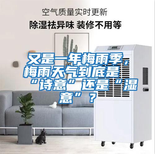 又是一年梅雨季，梅雨天氣到底是“詩意”還是“濕意”？