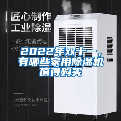2022年雙十一，有哪些家用除濕機值得購買