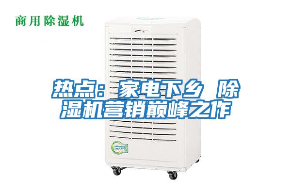 熱點:家電下鄉(xiāng) 除濕機(jī)營銷巔峰之作