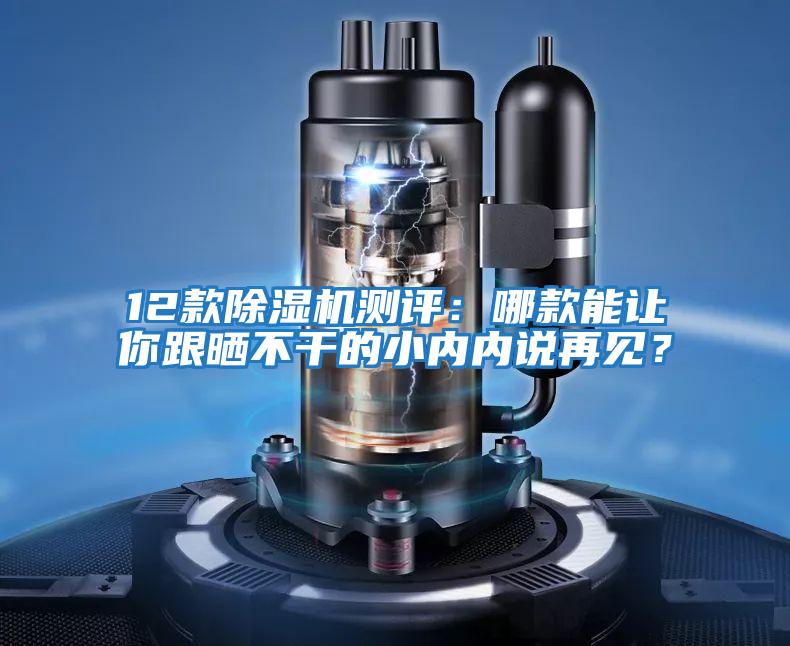 12款除濕機測評：哪款能讓你跟曬不干的小內(nèi)內(nèi)說再見？