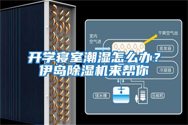開(kāi)學(xué)寢室潮濕怎么辦?伊島除濕機(jī)來(lái)幫你