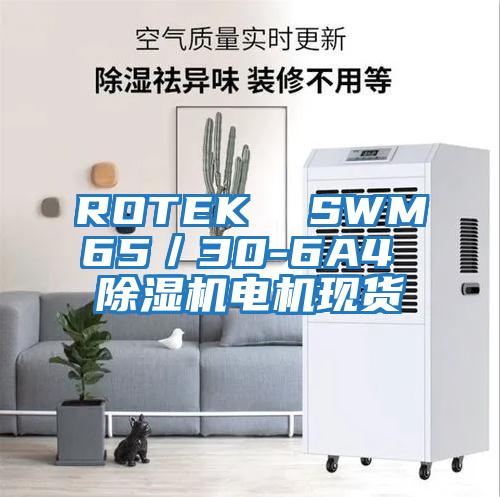 ROTEK  SWM65／30-6A4 除濕機電機現貨