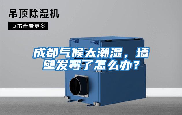 成都?xì)夂蛱睗?，墻壁發(fā)霉了怎么辦？