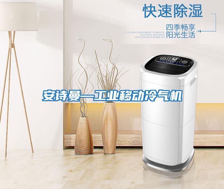 安詩曼—工業移動冷氣機