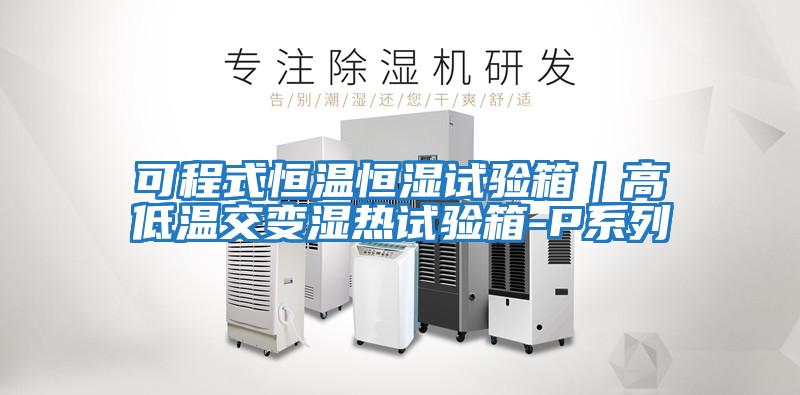 可程式恒溫恒濕試驗(yàn)箱|高低溫交變濕熱試驗(yàn)箱-P系列