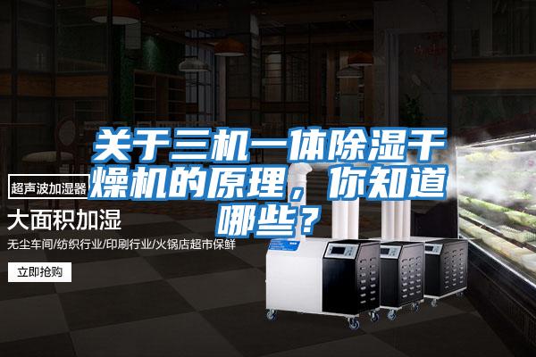 關于三機一體除濕干燥機的原理,你知道哪些?