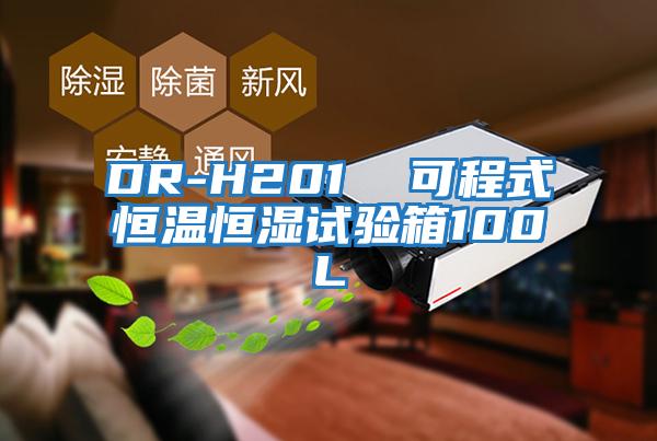 DR-H201 可程式恒溫恒濕試驗(yàn)箱100L