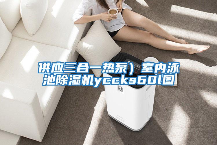 供應三合一熱泵)室內泳池除濕機yccks60l圖