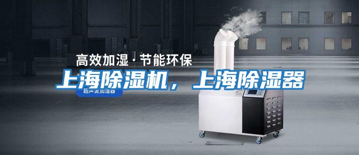 上海除濕機(jī),上海除濕器
