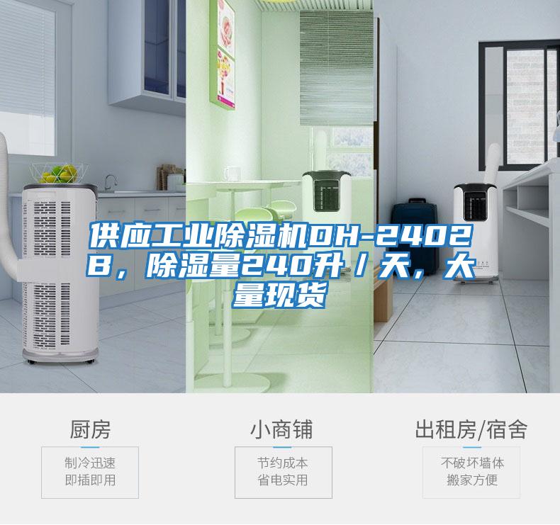 供應(yīng)工業(yè)除濕機DH-2402B,除濕量240升/天,大量現(xiàn)貨