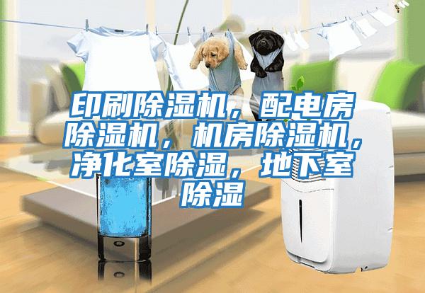 印刷除濕機，配電房除濕機，機房除濕機，凈化室除濕，地下室除濕