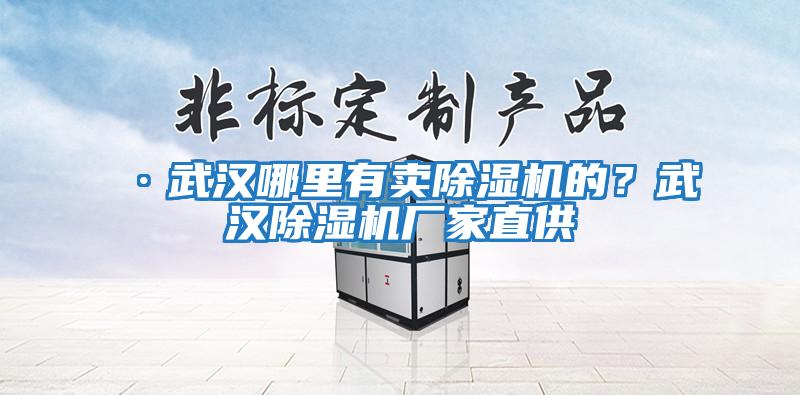 ·武漢哪里有賣除濕機的?武漢除濕機廠家直供