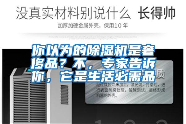 你以為的除濕機是奢侈品?不,專家告訴你,它是生活必需品