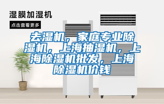 去濕機，家庭專業(yè)除濕機，上海抽濕機，上海除濕機批發(fā)，上海除濕機價錢