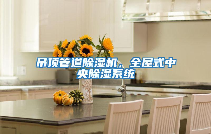 吊頂管道除濕機,全屋式中央除濕系統