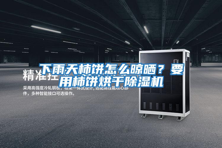 下雨天柿餅怎么晾曬？要用柿餅烘干除濕機
