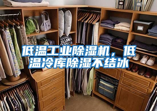 低溫工業(yè)除濕機(jī)，低溫冷庫(kù)除濕不結(jié)冰