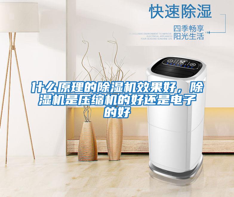 什么原理的除濕機(jī)效果好，除濕機(jī)是壓縮機(jī)的好還是電子的好