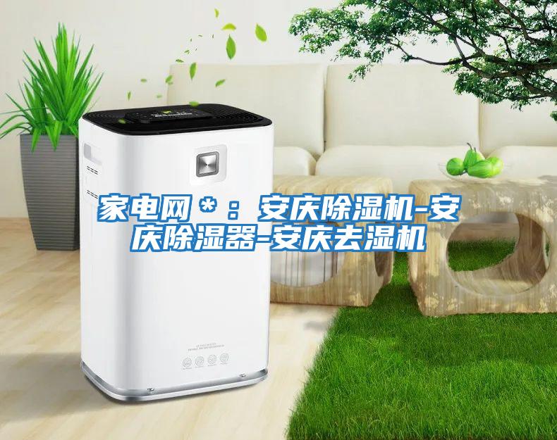 家電網(wǎng)*:安慶除濕機-安慶除濕器-安慶去濕機