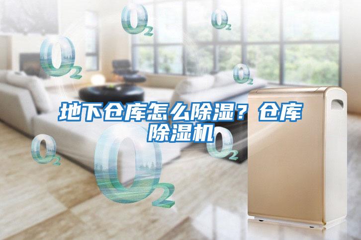 地下倉(cāng)庫(kù)怎么除濕?倉(cāng)庫(kù)除濕機(jī)