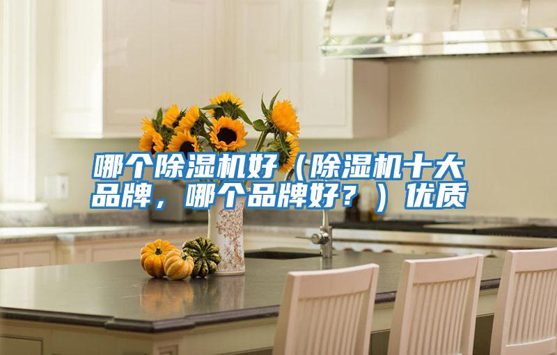 哪個(gè)除濕機(jī)好（除濕機(jī)十大品牌，哪個(gè)品牌好？）優(yōu)質(zhì)