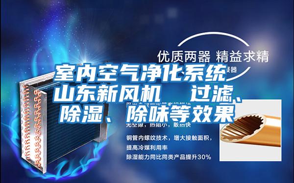 室內空氣凈化系統 山東新風機  過濾、除濕、除味等效果